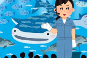 陰キャ「水族館が怖い。海水魚の知識がないから彼女に説明できない」←これ