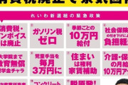 【画像】ガチのマジで次の選挙れいわ新撰組でよくないか