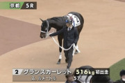 ダイワスカーレットの最後の産駒で唯一の牡馬グランスカーレットも駄馬だった件