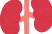 【注意喚起】「腎臓」のダメージは二度と回復しない。塩分は控えめにな。