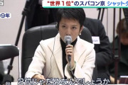 蓮舫議員「政治家になるより芸能界で生き残る方がリスクが高いと思った」「参議院は6年任期がある有期契約」