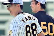 矢野先生（19～22）　3位2位2位3位