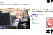 【悲報】大手VTuber運営会社、リアル系VTuberの動画にブチギレｗｗｗｗ