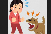 3歳女児が大型犬にかまれ顔や胸を大ケガ→飼い主「知らない間に飼い犬が逃げ出した」