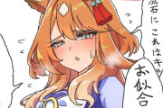 【ウマ娘】頼んだら制服を着てくれそうな吾妻様…うわきつ感があまりない納得の理由。