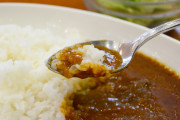 野菜嫌いぼく、大量の野菜をミキサーで粉砕しそれを丸ごとカレーにした結果・・・