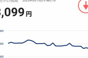 【悲報】半年前に仮想通貨100ドル分を買ったとしたら、いまこんな感じです…