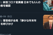 【悲報】民主党「桜を見る会追求しまくって自民党倒すぞ！」→日本人「立憲民主党の解党を求めます」