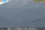 犬鳴山 遭難の高齢男性 登山者に発見され無事救助