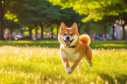 【画像】有名ゲームごとの犬一覧がこちらｗｗｗｗｗｗｗｗｗｗ