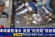 【画像】このすばのアクア様、ドブに捨てられる
