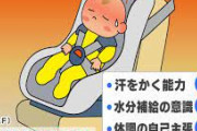 車内で熱中症になって亡くなる赤ちゃんって