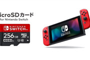 SwitchでDL版買ってる奴らってよくSDカードなんて使えるよな