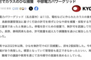 中部電力パワーグリッド、カラスのヒナを無許可で431羽捕獲し、卵を2個採取