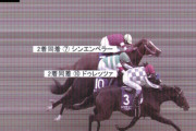 タイムフォーム誌レーティング、2着シンエンペラーが優勝馬ドウデュースを上回る