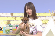 【日向坂46】本日どうぶつピース２時間半SP！！こさかなも登場！！！！！