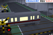 【画像】歩きスマホの女さん、電車に轢かれて死亡www