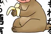 （ヽ´ん`）「サルでもわかる みたいなタイトルの本は絶対買わない」