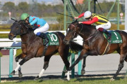 【競馬界の道交法違反】ダイアトニック・岩田康誠のイン突きを武豊が絶賛「路肩を走ってた。ヤスナリにしかできん」