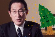 【朗報】岸田首相、経済対策に『花粉症対策』を盛り込むと表明！スギ伐採重点区域を設定へ