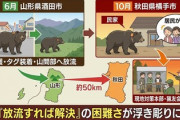 【悲報】愛護団体が言うように「捕獲の熊を山形県の山に放った」→秋田県の民家に出没してし已む無く駆除　両耳に個体識別用のタグから判明