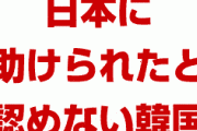 韓国「2008年の通貨危機では中国に助けられた。今回はどこも助けてくれない」　　日本が助けても無意味だったな…