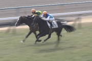 【競馬】スイーズドリームスで負けた畑端は悪くなかった！！