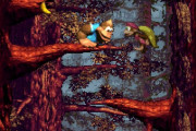 『スーパードンキーコング3』ってムズかったよな