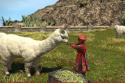 【FF14】7.0フィールド「オルコ・パチャ」はアルパカの生息地！ペルペル族が育てているもふもふの「アルパカ」を見ることができるぞ！