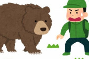 【大悲報】クマから逃げる方法、ない