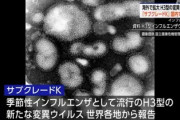 【緊急】インフルエンザ『新変異株』日本上陸へ…