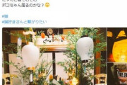 【悲報】女さん「死んだ猫のために提灯と線香飾ろ…」→火事になり残りの猫11匹も天に召される