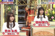 【櫻坂46】大朗報！菅井友香＆田村保乃、大活躍！！！ｷﾀ━━━━(ﾟ∀ﾟ)━━━━!!