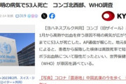 【悲報】コンゴ北西部､原因不明の病気で53人が死亡 1月下旬にはコウモリを食べた子ども3人が出血熱の症状を示して死亡