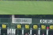 【競馬】トウカイレーヌのゲートが開いてないんだが