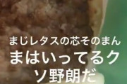 【悲報】マックさん、ハンバーガーにレタスの芯をそのまま入れてしまう・・・
