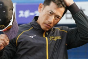 阪神　コロナ感染・伊藤隼太は退院も「お前らが言うな」に怯える