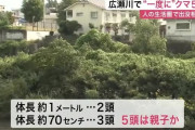 仙台市青葉区の広瀬川河川敷で“一度に”クマ5頭　JR仙台駅から約3キロ