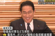 【速報】岸田「ほら、この1400円で猛暑を乗り切れ」→