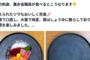 【悲報】農林水産省さん、豪華な刺身盛りを「ツマまで綺麗に食べれるよ～😋」アピールして大炎上ｗｗｗｗｗ