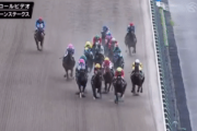 【悲報】馬、レース中に心臓麻痺を起こしてしまう・・・（閲覧注意）