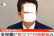 日本の安倍首相の『マスク二枚』配布計画、アベノマスクに対する海外の反応