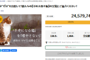 【炎上】和歌山市が『猫の不妊去勢手術を行う』名目で市民から2400万円回収→2年経つも猫は施術されず予算も空になっていたことが発覚