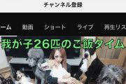 【画像】YouTuber「Runa」が交際相手に暴行され号泣！左鉤突→肘打→両手突→手刀→貫手→振り上げ→手刀→鉄槌→中段膝蹴→背足蹴り上げ