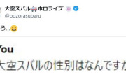 【ホロライブ】大空スバルに詳しいChatGPT君