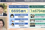 【安倍政権】なんと、「Go To キャンペーン」に医療対策等の３倍の予算計上！！今度の券は「半額旅行券」