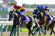 【競馬】秋華賞の歴代勝ち馬が2001年以降の全G1で最も豪華でワロタ