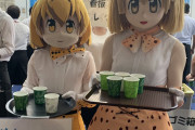 【けものフレンズ】コスプレサミット2019でサーバルが水を配る