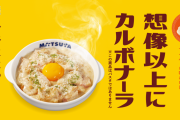 【朗報】松屋の新メニュー、だいたい美味い