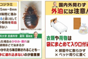 【大惨事】大阪、『トコジラミ』でめちゃくちゃ…